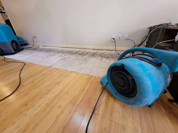 Professional Flood Damage Cleanup technician working in Saint Johns, MI